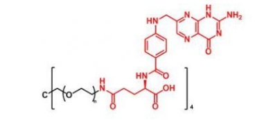  4ARM-PEG-Folate 4ARM-PEG-FA  四臂聚乙二醇叶酸