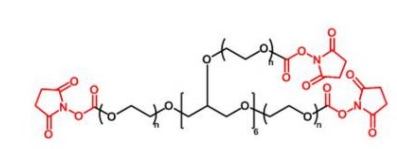 8ARM-PEG-NHS  八臂聚乙二醇活性酯