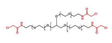 8ARM-PEG-Cl 8ARM-PEG-Chloride  八臂聚乙二醇氯