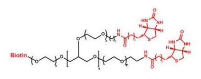  8ARM-PEG-Biotin 8ARM-PEG-BN  八臂聚乙二醇生物素