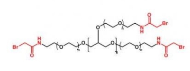 8ARM-PEG-Bromide  八臂聚乙二醇酰胺溴
