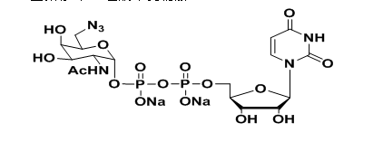 UDP-6-N3-Glucose；UDP-N-叠氮修饰乙酰基葡萄糖胺