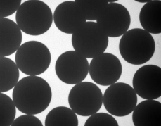 氨基修饰聚苯乙烯微球50nm；Amino modified polystyrene microspheres