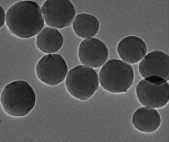 蓝色聚苯乙烯荧光微球500nm；Blue polystyrene fluorescent microspheres