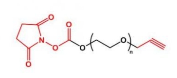 Alkyne-PEG-NHS NHS-PEG-Alkyne 炔基聚乙二醇活性酯