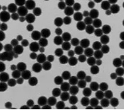 聚苯乙烯蓝色荧光微球500nm；Polystyrene blue fluorescent microspheres