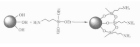 氨基修饰二氧化硅包裹四氧化三铁微球粉末300nm；Fe3O4-NH2