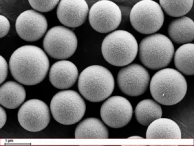 pei修饰的四氧化三铁磁性纳米颗粒 100nm 10mg/ml