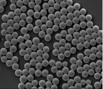 羧基聚苯乙烯微球粒径100nm，固含量5%，羧基PMMA微球 