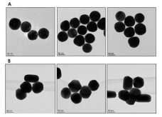80nm 磁珠；纳米磁珠
