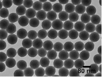 单独羧基修饰的超顺磁的四氧化三铁 80nm