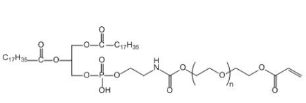 DSPE-PEG-AC 磷脂聚乙二醇丙烯酸酯
