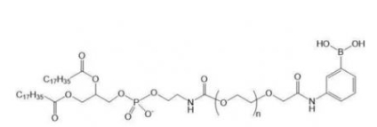 DSPE-PEG-PBA; 磷脂-聚乙二醇-苯硼酸
