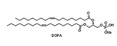 108392-02-5,DOPA，二油酰磷脂酸钠盐