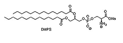 105405-50-3 磷脂酰丝氨酸系列（PS 类磷脂）(DMPS)