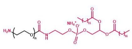 NH2-PEG-DSPE DSPE-PEG-Amine 磷脂聚乙二醇氨基