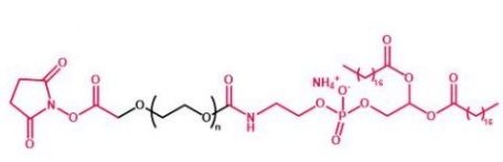  DSPE-PEG-NHS NHS-PEG-DSPE 磷脂聚乙二醇活性酯