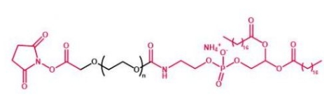 DSPE-PEG-NHS NHS-PEG-DSPE 磷脂聚乙二醇活性酯