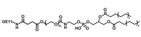 DSPE-PEG-GE11，磷脂-聚乙二醇-肿瘤细胞表皮生长因子肽GE11