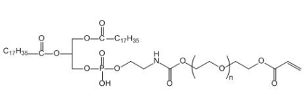 DSPE-PEG-AC 磷脂聚乙二醇丙烯酸酯