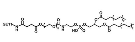 DSPE-PEG-GE11，磷脂-聚乙二醇-肿瘤细胞表皮生长因子肽GE11