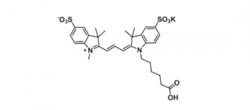 diSulfo-Cy7 Carboxylic Acid(Methyl)/水溶性Cy7 COOH