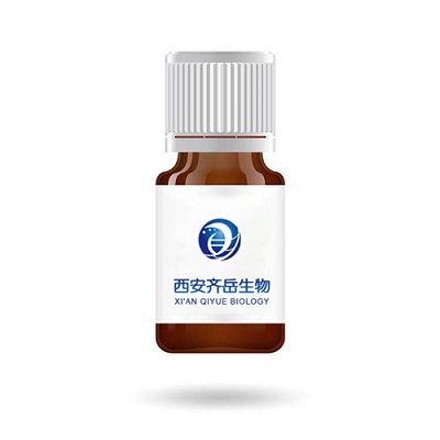 CHO-PEG2000-ICG