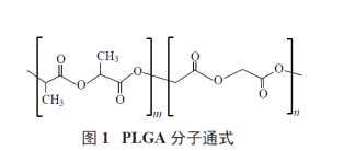 PLGA-COOH MW:40000，聚乳酸-羟基乙酸共聚物-羧酸 