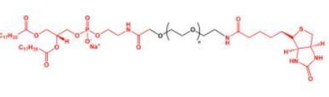 DSPE-PEG-Biotin Biotin-PEG-DSPE 磷脂聚乙二醇生物素
