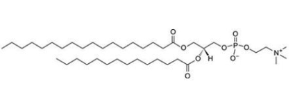 20664-02-2 1-stearoyl-2-myristoyl-sn-glycero-3-phosphocholine