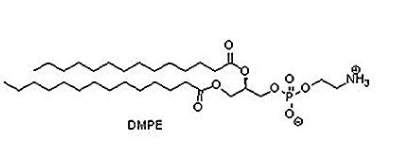  998-07-2  1,2-dimyristoyl-sn-glycero-3-phosphoethanolamine