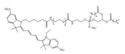  DSPE-PEG-Cy5 Cy5-聚乙二醇-二硬脂酰基磷脂酰乙醇胺