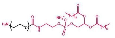  NH2-PEG-DSPE DSPE-PEG-Amine 磷脂聚乙二醇氨基
