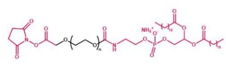 DSPE-PEG-NHS NHS-PEG-DSPE 磷脂聚乙二醇活性酯