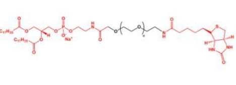 DSPE-PEG-Biotin Biotin-PEG-DSPE 磷脂聚乙二醇生物素