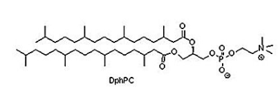  207131-40-6 二植酰磷脂酰胆碱（DPhPC)