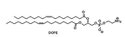 4004-05-1  1,2-dioleoyl-sn-glycero-3-phosphoethanolamine