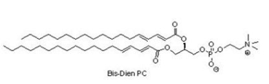  95721-44-1 Bis-DienPC 双十八烷二烯酰磷脂酰胆碱
