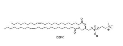 51779-95-4 1,2-dierucoyl-sn-glycero-3-phosphocholine
