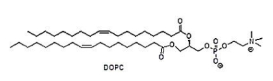 CAS 4235-95-4 1,2-dioleoyl-sn-glycero-3-phosphocholine