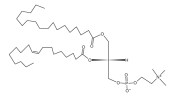 SOPC；56421-10-4；1-硬脂酰基-2-油酰基-sn-甘油-3-磷酸胆碱