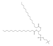 DPPC；2797-68-4；二棕榈酰磷脂酰胆碱(DPPC)