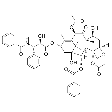 紫杉醇，标准品（B21695-20mg） CAS:33069-62-4  paclitaxel