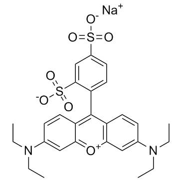 磺罗丹明B钠盐    CAS:3520-42-1   丽丝胺罗丹明B的体外研究