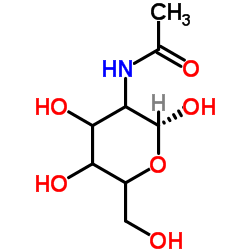 琥珀酰壳聚糖  S11065-100G  1398-61-4