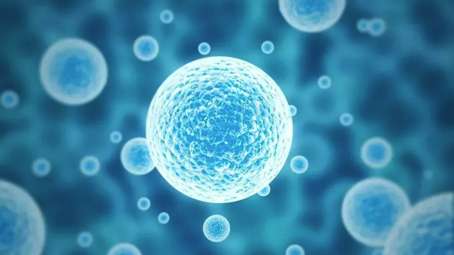 TPP-PEG2K-Biotin  三苯基磷聚乙二醇生物素 Biotin-PEG2000-TPP