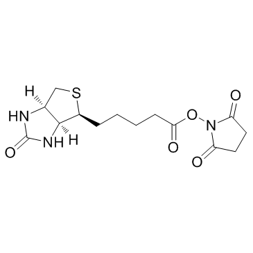 生物素-NHS；N-羟基琥珀酰亚胺生物素；35013-72-0