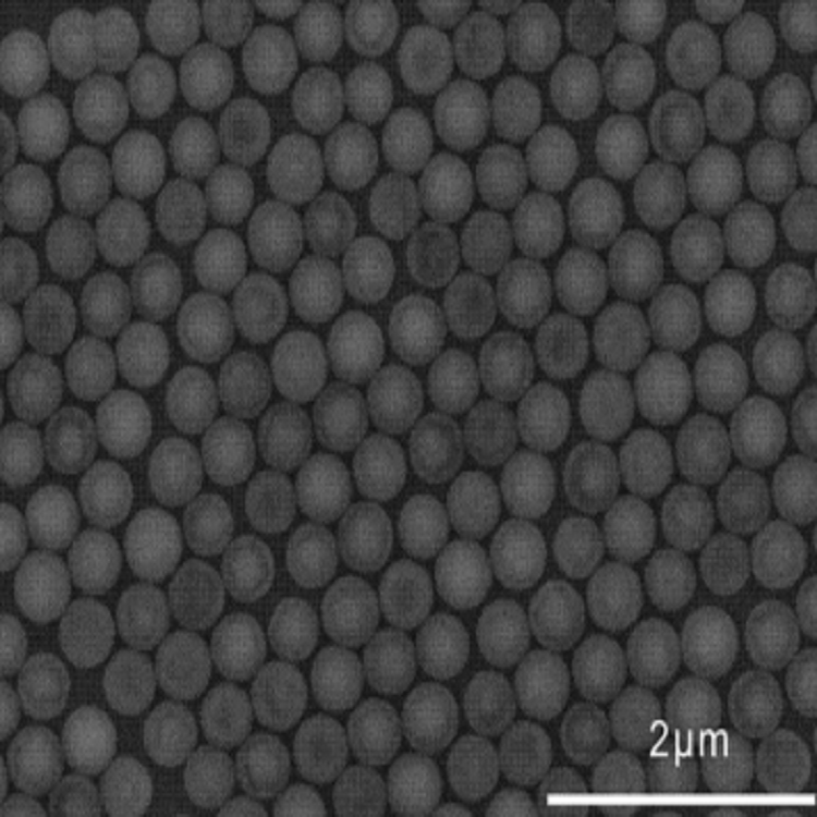 环氧基聚苯乙烯微球（1-2微米；）Epoxy based polystyrene microspheres