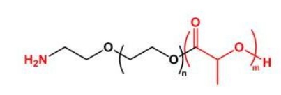  PLA-PEG-NH2 NH2-PEG-PLA 聚乳酸聚乙二醇氨基