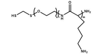  HS-PEG-PLL Polylysine-PEG-Thiol 巯基聚乙二醇聚赖氨酸